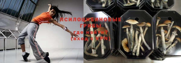 крисы Александровское